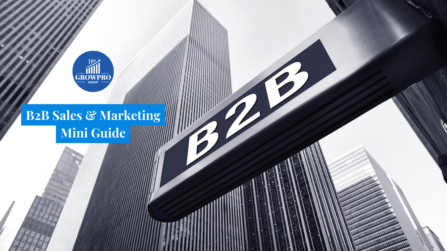 B2B Sales & Marketing Mini Guide for Small Business Growth - The GrowPro Shop