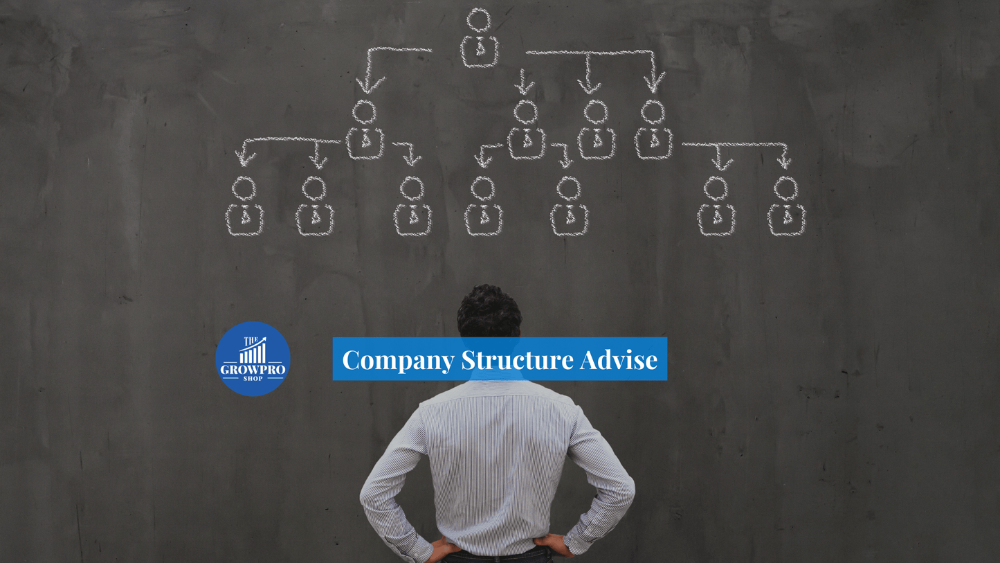 Company Structure Advice - The GrowPro Shop