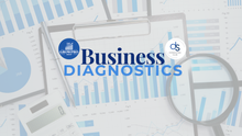 Business Diagnostics (Consulting Service)