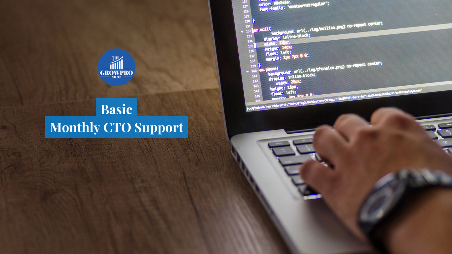 Monthly Fractional CTO Support