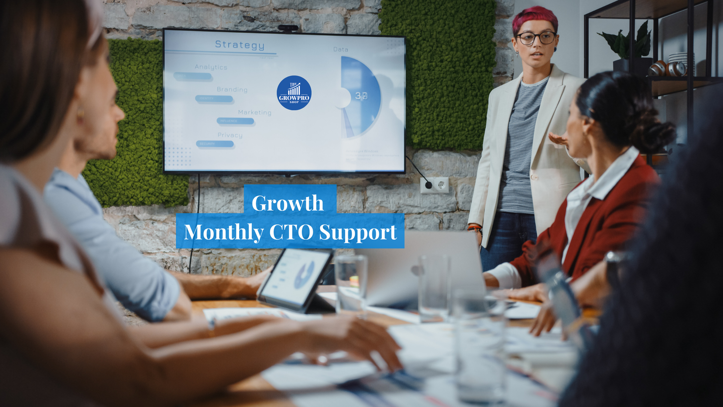 Monthly Fractional CTO Support